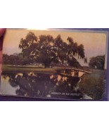 Vintage Washington Oak New Orleans LA Lithograph Postcard - £3.92 GBP