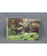 Vintage Postcard - Stryi Park Lviv - T. Ugrinovicha - £14.85 GBP