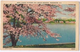 District of Columbia Postcard Washington Cherry Blossoms &amp; Lincoln Memorial - $2.96