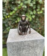 Macaco em Bronze 15x9x12cm - $138.79