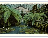 Garfield Park Conservatory Interior Chicago Illinois IL UNP WB Postcard W7 - $3.91