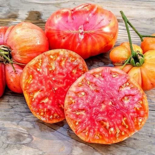 30+ HILLBILLY TOMATO SEEDS - HEIRLOOM - ORGANIC - NON GMO ------------ RARE - $3.74