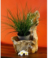 Root Wood Bowl Planter Teak Orchids Pot Decoration Flowerpot - €64,64 EUR