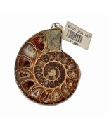 NEW Handcrafted Beautiful Natural Fossilized Real Ammonite Creatures Pen... - £47.07 GBP
