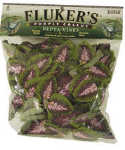 Fluker&#39;s Purple Coleus Repta-Vines Green, Purple 1ea/6 ft - £18.15 GBP