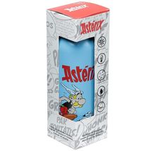 Asterix &amp; Obelix 530 ml stainless steel water bottle New - £23.46 GBP