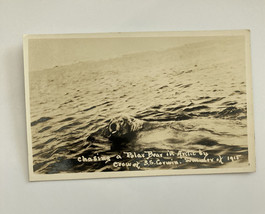 Chasing A Polar Bear In Arctic By Crew S.S. Corwin RPPC Postcard - £23.56 GBP