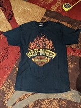 HARLEY DAVIDSON Hanes Beefy T Shirt black M medium 2012 rare flame w eyes - £52.38 GBP