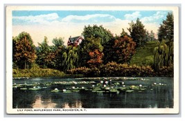 Lily Pond Maplewood Park Rochester New York NY UNP WB Postcard H22 - £2.28 GBP