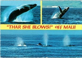 Multi Views of the Humpback Whale off Maui Hawaii Postcard posted 1982 - £16.45 GBP