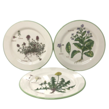 Williams Sonoma Culinary Herbs Luncheon Plates 8.75&quot; Salad Portugal Set ... - £22.55 GBP