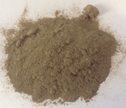 40 oz. Tongkat Powder Black (Polyalthia Bullata) Wildharvested Indonesia - £67.93 GBP
