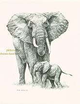 #133 ELEPHANT with BABY wild life art print * Pen &amp; ink drawing * Jan Je... - $12.38