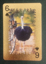Animal-Themed Golden Foil PVC Mini Playing Card Ostrich 6 Spades - $1.84