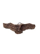 Vintage The Great American Buckle Co Eagle Belt Buckle 1981 Serial 491 U... - $34.20