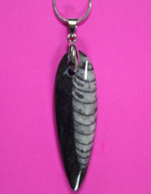 Authentic Orthoceros Necklace Fossil 500 Million Years Old Dinosaur Girl... - $41.13 CAD