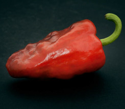 Ria Hoki 25 Sweet Cascadura Pepper Seeds Non-Gmo - £5.75 GBP