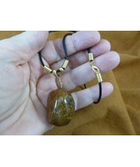 (PP31-21) Real Jumbo MOOSE POOP doo doo turd nugget NECKLACE weird fun a... - $18.69
