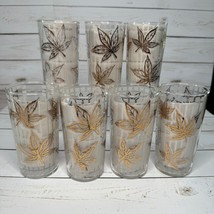 Vintage Fred Press MCM Frosted Gold Maple Leaf Glasses Tumblers 5 1/2&quot; high - $56.09