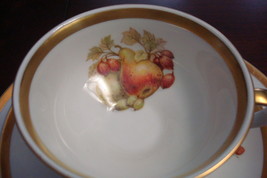 JAEGER (Germany)-TRIO cup, saucer &amp; dessert plate, Harvest pattern [95b]  - £51.42 GBP