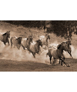 Leader of the Pack by Robert Dawson Canvas Giclee Running Herd Of Wild H... - £193.98 GBP