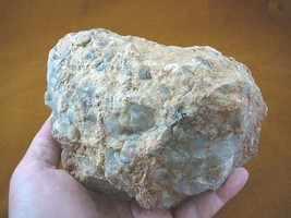 DF845-16) 4lb Fossil Real Dinosaur Poop Coprolite Dino Valley Utah Dung Poo Scat - £65.96 GBP