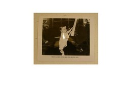 Shaun Cassidy Press Kit Photo 15 Month-old Shaun Sean - $493.63 MXN