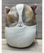 Squishmallows PAX the Guinea Pig  Plush 8” 2022 With Tags - $10.77