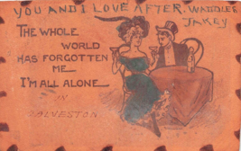 Tutto Mondo Ha Forgotten Me IN Galveston Texas ~1905 Pelle Cartolina - £7.77 GBP