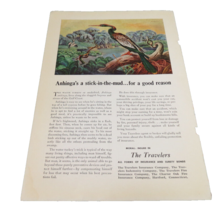 1940s The Travelers Insure  Paper Magazine Ad Water Turkey Art Aprox 8&quot; x6.5&quot; - £11.12 GBP
