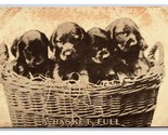 Basket Full of Puppies Dogs UNP DB Postcard W22 - £2.30 GBP