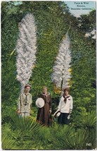 Postcard People Yucca &amp; Wild Flowers Beautiful California - £6.19 GBP