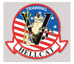 MILITARY TRAINING WING TRAWING 5 HELLCAT STICKER DECAL - $39.99
