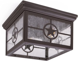 Farmhouse Flush Mount Ceiling Light Fixture Industrial Bronze Glass Outdoor 2 - £60.15 GBP