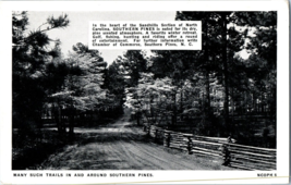 Southern Pines in the heart of the Sandhills Section North Carolina Postcard - £5.47 GBP