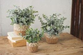 Set Of 3 Realistic Artificial Botanica Fern Eucalyptus Plant In Chic Woven Pots - $76.99