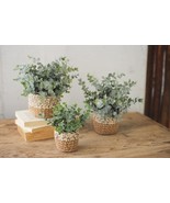 Set Of 3 Realistic Artificial Botanica Fern Eucalyptus Plant In Chic Wov... - $105.29 CAD