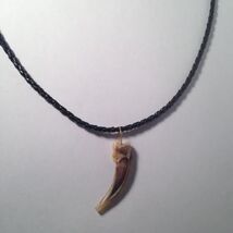 Authentic Badger Claw Necklace – 1.75" Pendant with 17.5" Braided Cord - $13.85