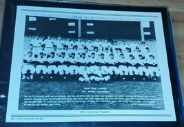 1951 New York Yankees Team Photo  8x10 Daily News Original Reprint - £7.99 GBP