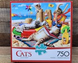 Buffalo CATS Jigsaw Puzzle - BEACHCOMBERS - 750 Piece Random Cut - SHIPS... - $18.97