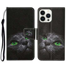 3D Colored Drawing Flip Leather Phone Case for iPhone 15 Pro Max (Black Cat) - £17.87 GBP