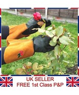 2 Pairs Ladies Long Gardening Gloves Thorn Resistance Arm Protection Gar... - €12,59 EUR