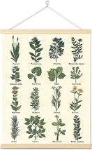 Vintage Herbs Posters Prints Botanical Wall Art Hanging Decor,, 16X22 Inch - £24.12 GBP
