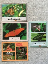 Postcards - Butterflies (Cypress Gardens, Florida) - £1.94 GBP