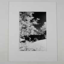 White Mat Photo Landscape Park Infrared Photography Bridge Trees Art Print - $50.62