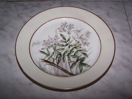1876-1881 CFH Charles Field Haviland Decorative Desert Dish Plate (blosoms) 7.5W - £11.99 GBP