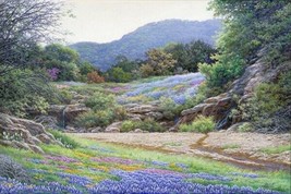 Hill Country Color by Larry Dyke Texas Bluebonnets Landscape Signed Canvas  - £291.64 GBP