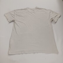 Vintage Miami Dolphins 1984 AFC Champions Graphic T-Shirt NFL Team Apparel Sz L image 12