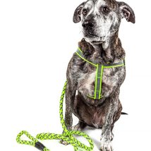 Pet Life ® Durable 3M Reflective 2-in-1 Extra Long Pet Leash and Adjustable Dog  - £15.61 GBP
