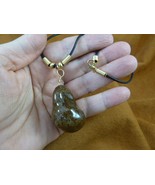 (PP31-14) Real Jumbo MOOSE POOP doo doo turd nugget NECKLACE weird fun a... - $18.69